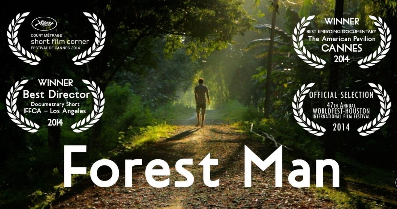 Forest Man, photo pour site internet Forest Man, photo pour site internet
